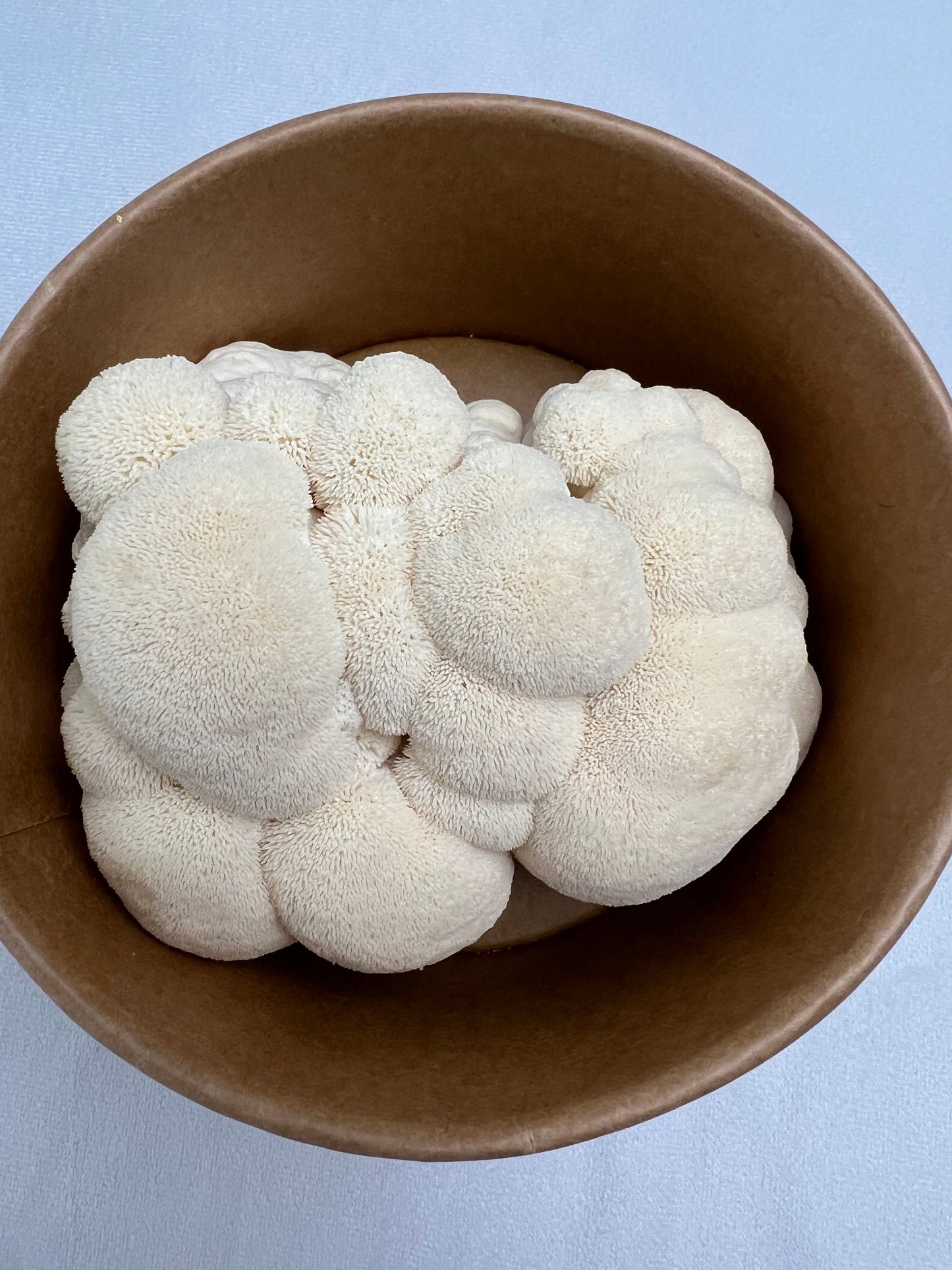 Dried Lion's Mane Mushrooms